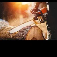 خرید انواع چوب، اصلا..