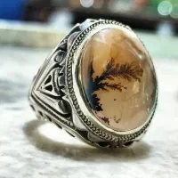 شجر تک درخت بی نظیر