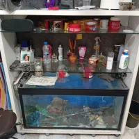 لوازم کامل آرایشگاه|آرایشگاه و سالنهای زیبایی|ری, اقدسیه|دیوار