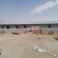 دامداری حدود 3000 متر در قوشجی|فروش دفتر صنعتی، کشاورزی، تجاری|انزل, |دیوار