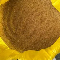 بذر یونجه درجه یک برا کاشت