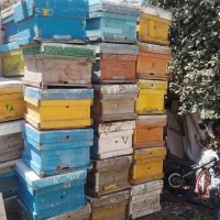 کندو خالی و موم