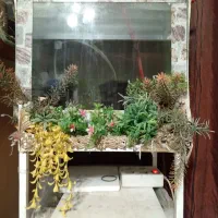 سه آکواریم سالم با پایه دکوری و محکم به فروش میرسد