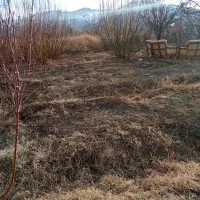 زمین کشاورزی|فروش دفتر صنعتی، کشاورزی، تجاری|انزل, |دیوار