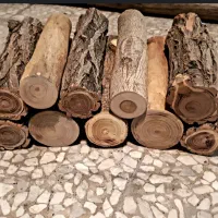 فروش هیزم جنگلی