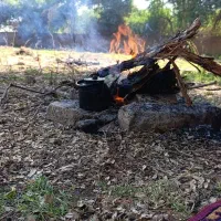 پاجوش نخل  اصل برحی