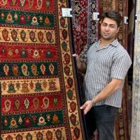 کناره فرش ناردون لاکی گلشهر سلیمانی|فرش|زنجان, |دیوار