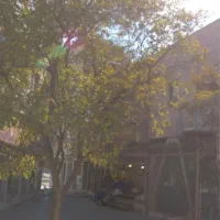 مغازه ۵۵ متر دو ممر/ بازار محله عالی