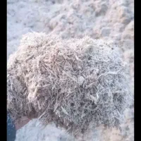 کاه نیشکر|خدمات باغبانی و درختکاری|قزوین, |دیوار