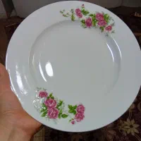 گل قرمزی|ظروف سرو و پذیرایی|اصفهان, ارداجی|دیوار