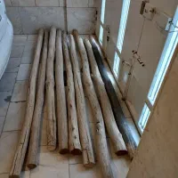 حراج چوب|حراج|اصفهان, باغ دریاچه|دیوار