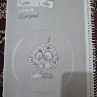 کتاب هوش تصویری مالتیپل