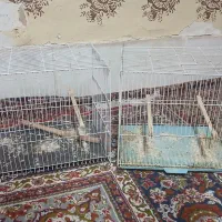 قفس پرنده