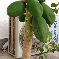 نظافت منزل راه پله محوته پذیروفه میشود