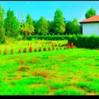 زمین-200-متری-سنددار-فوری