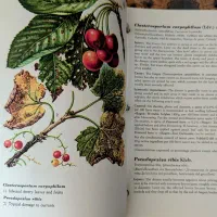 هندبوک و کتاب مرجع آفات کشاورزی بایر آلمان|کتاب و مجله آموزشی|تهران, فلسطین (میدان انقلاب)|دیوار