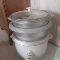 پلوپز برقی