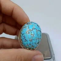 نیشاپوری عنکبوتی غول|جواهرات|اهواز, زیتون کارگری|دیوار