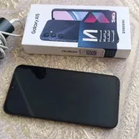 a15