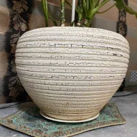 گلدان بزرگ سفید ۲عدد معاوضه با ماهی آکواریوم|گل و گیاه طبیعی|تبریز, |دیوار