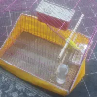 مرغ عشق یک عدد با قفس.