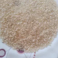 برنج شمشیری و عنبر بو  تنگه شمشه روستای هلسم|خوردنی و آشامیدنی|ایلام, |دیوار