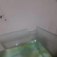 ۲عدد اکواریوم دونه ای ۲۵۰|ماهی|پاکدشت, پاکدشت (مامازند)|دیوار