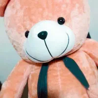 خرس خرید از تولید کننده