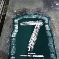 شابلون زن ماهر