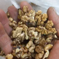 مغز گردو اعلا درجه یک ومغز گردو درجه 2