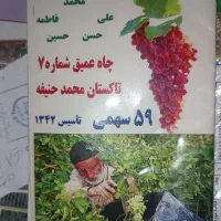 یک هکتار زمین کشاورزی همراه با آب قطره‌ای|فروش دفتر صنعتی، کشاورزی، تجاری|تاکستان, |دیوار