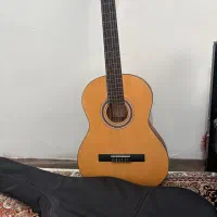 گیتار پارسیm2