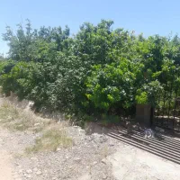 ملک و باغ فروشی