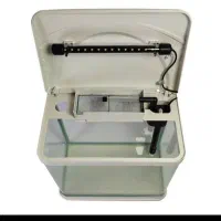 آروانا خوش سایز*فروش اکواریوم شرکتی|ماهی|زنجان, |دیوار