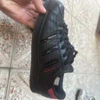 zx8000 کتونی|کیف، کفش، کمربند|رباط‌کریم, رباط‌کریم|دیوار