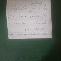 برگ سبز یا سند ماشین گم شده