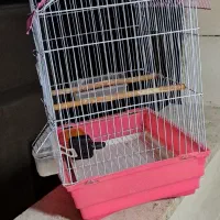 قفس پرنده|لوازم جانبی حیوانات|محمدشهر, ولدآباد|دیوار