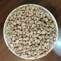 لوبیا چیتی|خوردنی و آشامیدنی|تهران, بوستان ولایت|دیوار