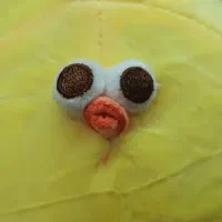 جوجه جوجه طلایی تو دوست خوب مایی|اسباب‌بازی بچه|لاهیجان, طالقانی|دیوار