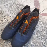 کفش استوک|کیف، کفش، کمربند|شوش, |دیوار