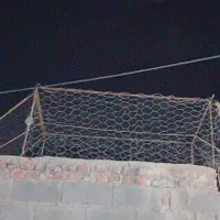 باسلام طور برای کفتر و مرغ