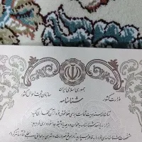 گمشدن مدارک