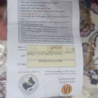 Redmi 13|موبایل|ارومیه, |دیوار