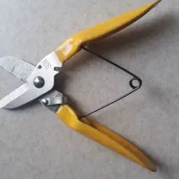 قیچی قندشکن|ابزارآلات|محمدیه-قزوین, |دیوار