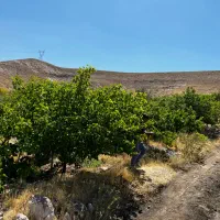 باغ عالی با ویو خاص در اسکو|فروش خانه و ویلا|اسکو, |دیوار