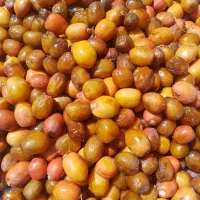 محصولات تازه|خوردنی و آشامیدنی|قم, بکایی|دیوار