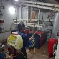 کلیه خدمات باغبانی سمپاشی تعویض گلدان سمپاشی سوسک|خدمات باغبانی و درختکاری|تهران, الهیه|دیوار