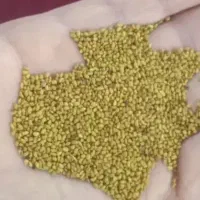 قره یونجه رینجر