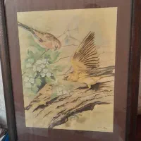 تابلو نقاشی  مدادرنگی