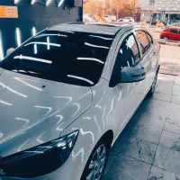 شاهین G سانروف دار کم کار کارمندی